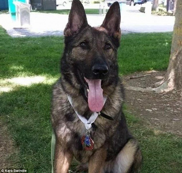 hang hang khong my gui nham cho toi nhat ban hinh anh 1