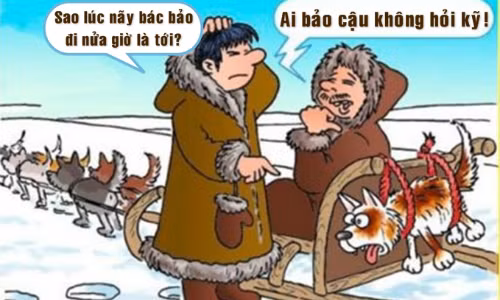 Hối hận vì hỏi không kỹ