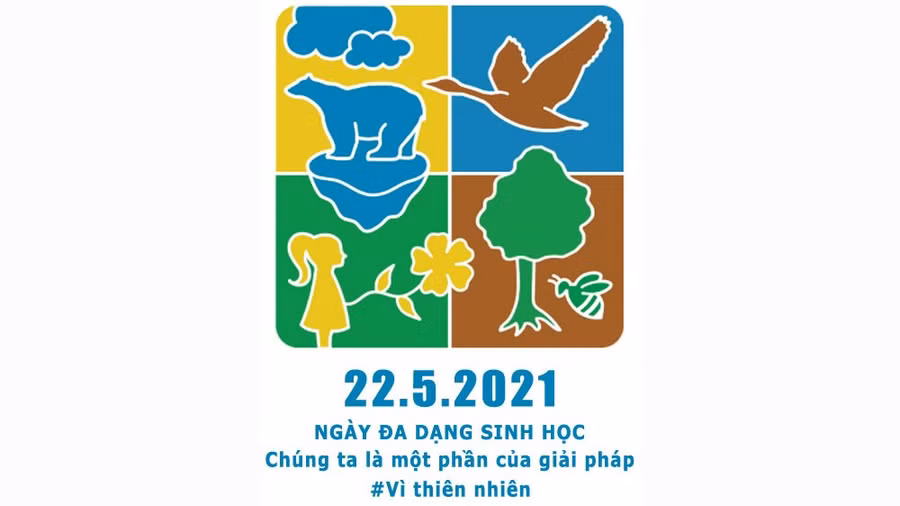 Pano tuyên truyền ngày Quốc tế đa dạng sinh học 22/5