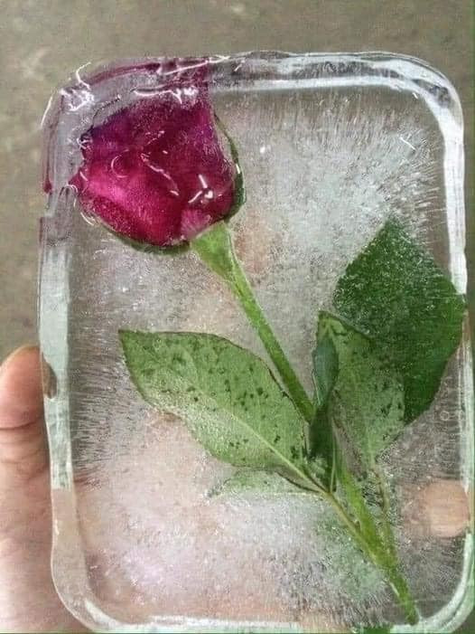 Tình yêu bất diệt, không thay đổi qua năm tháng. Tình yêu bất diệt, không thay đổi qua năm tháng.