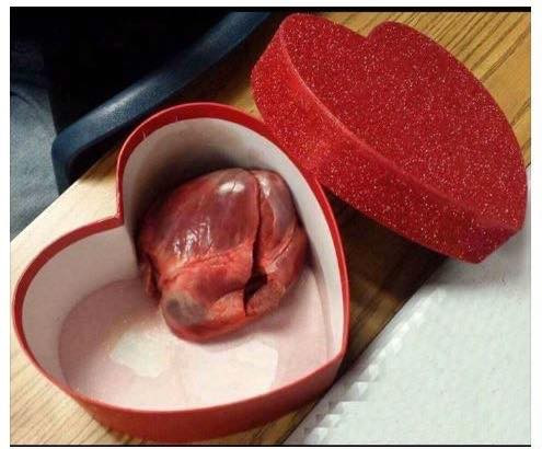 Trái tim này anh dành cả cho em, chỉ cần em yên tâm bên anh là đủ. Quà này to nhất rồi nhé các nàng. Trái tim này anh dành cả cho em, chỉ cần em yên tâm bên anh là đủ. Quà này to nhất rồi nhé các nàng.