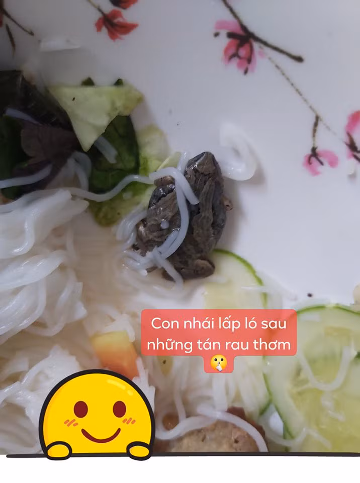 66720719_2073025399660563_3716566996595245056_n