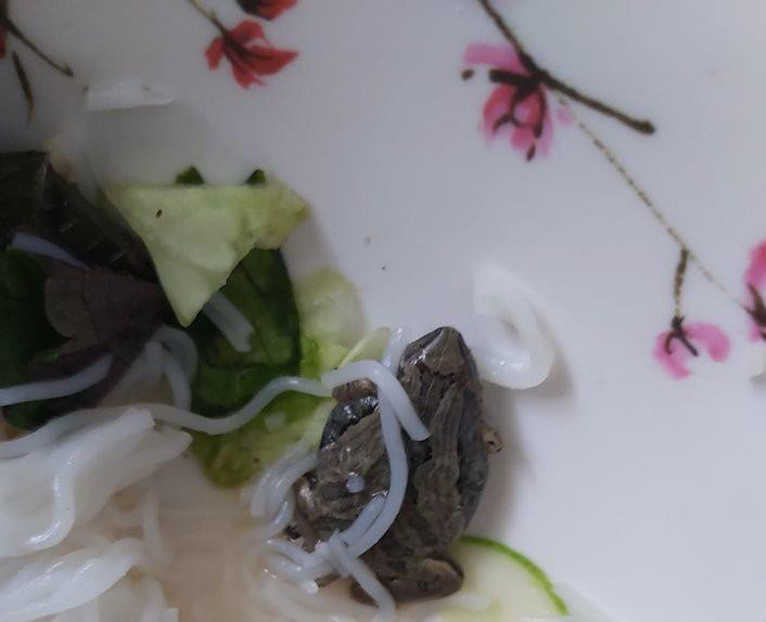Ăn gần hết suất bún thịt nướng, cô gái rùng mình phát hiện con vật khó tin này 