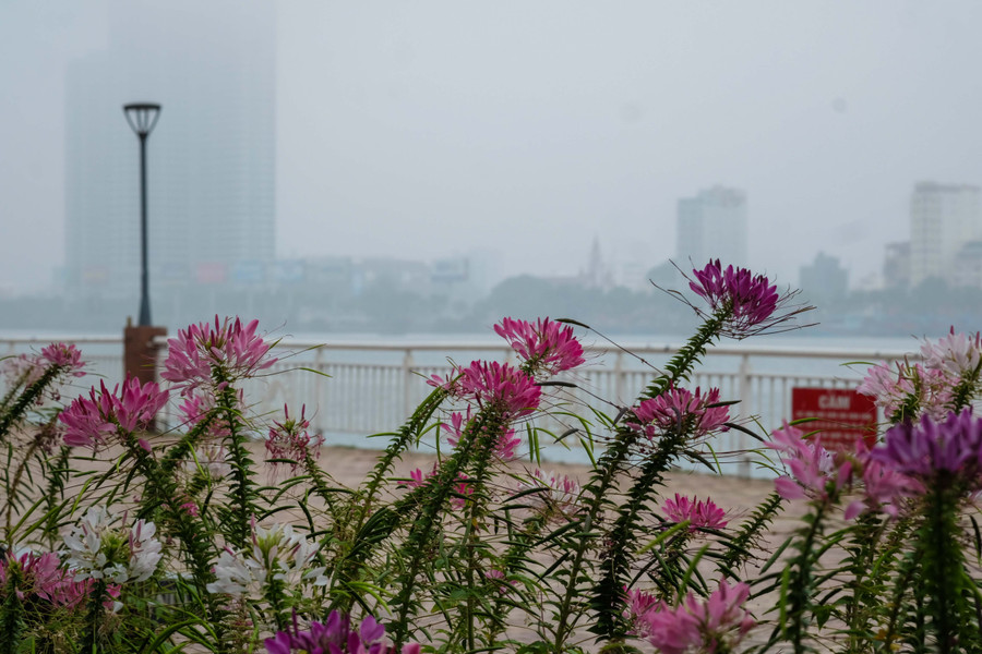 Sương mù xuất hiện tạo nên cảnh tượng thật đẹp ở TP Đà Nẵng.