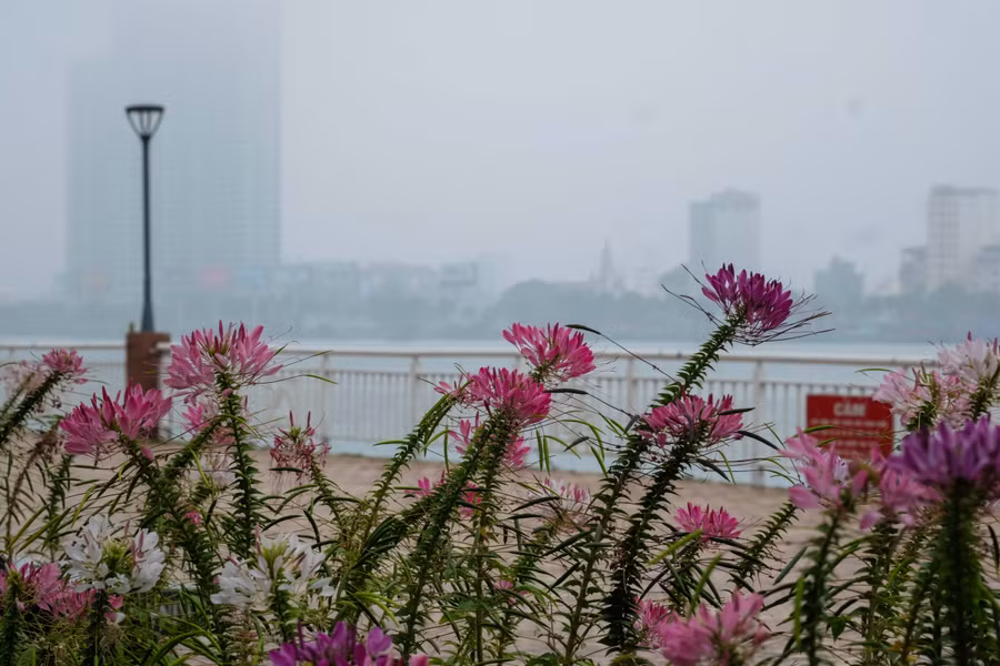 Sương mù xuất hiện tạo nên cảnh tượng thật đẹp ở TP Đà Nẵng.