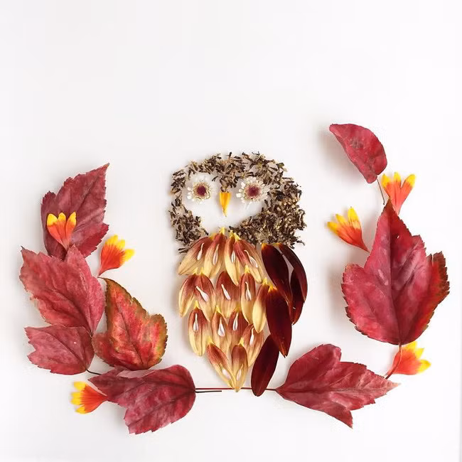 Những bức tranh minh họa tuyệt đẹp được vẽ nên từ cỏ cây hoa lá