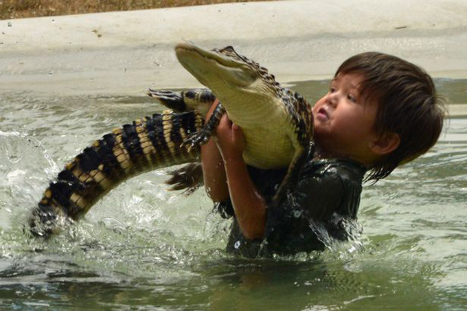 Charlie chơi với cá sấu năm 3 tuổi. Charlie chơi với cá sấu năm 3 tuổi. Ảnh: Barcroft TV.