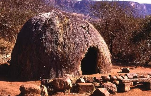 ky la noi kiem tra trinh tiet nam nu bang cay say va nuoc tieu - 1