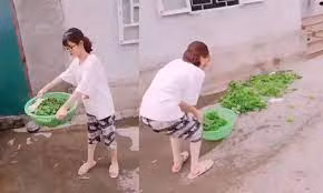 Clip: Màn vẩy rau "kinh điển" của gái vụng 