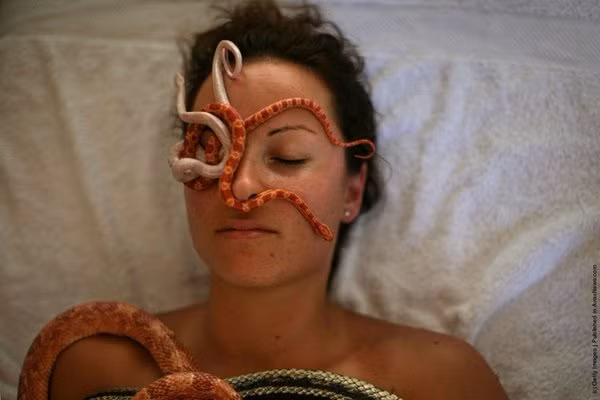 Những phương pháp làm đẹp nhìn sởn gai ốc nhưng chị em vẫn muốn thử ảnh 4