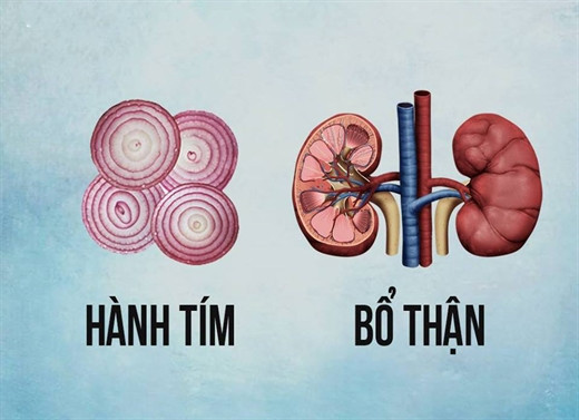 ‘Ăn gì bổ nấy’ với 13 loại thực phẩm này ‘An gi bo nay’ voi 13 loai thuc pham nay