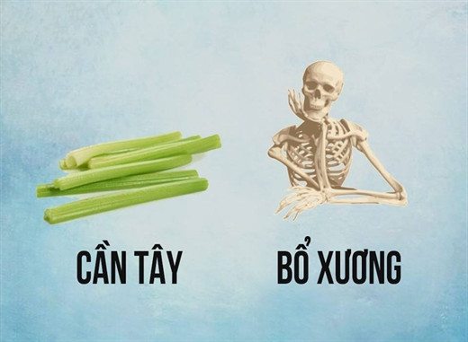 ‘Ăn gì bổ nấy’ với 13 loại thực phẩm này ‘An gi bo nay’ voi 13 loai thuc pham nay