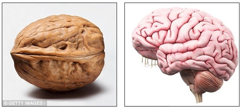 ‘Ăn gì bổ nấy’ với 13 loại thực phẩm này ‘An gi bo nay’ voi 13 loai thuc pham nay