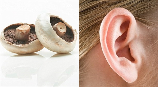 ‘Ăn gì bổ nấy’ với 13 loại thực phẩm này ‘An gi bo nay’ voi 13 loai thuc pham nay