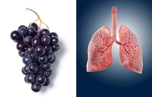 ‘Ăn gì bổ nấy’ với 13 loại thực phẩm này ‘An gi bo nay’ voi 13 loai thuc pham nay