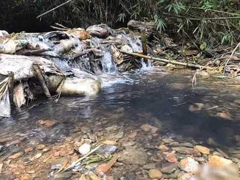 Nước ở khu vực thượng lưu sông Đà bị nhiễm dầu thải.