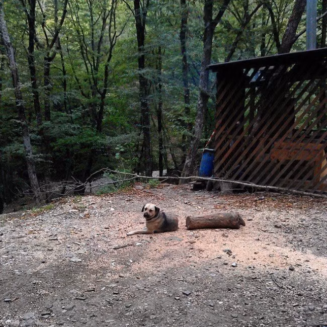 Những khoảnh khắc ngàn năm có một ai xem xong cũng phải dụi mắt nhìn lại - Ảnh 13.