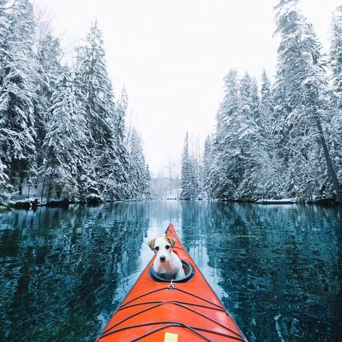 12 buc anh truyen cam hung song cho dan mang the gioi hinh anh 3