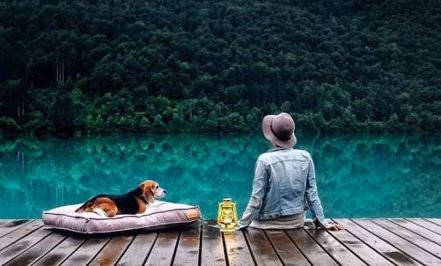 12 bức ảnh truyền cảm hứng sống cho dân mạng thế giới