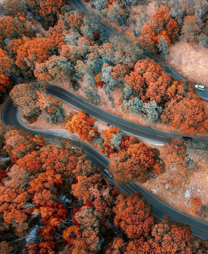 12 bức ảnh truyền cảm hứng sống cho dân mạng thế giới hình ảnh 8 12 buc anh truyen cam hung song cho dan mang the gioi hinh anh 8