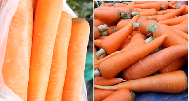 cach-phan-biet-hanh-kho-viet-nam-va-hanh-kho-trung-quoc--giadinhvietnam.com 3