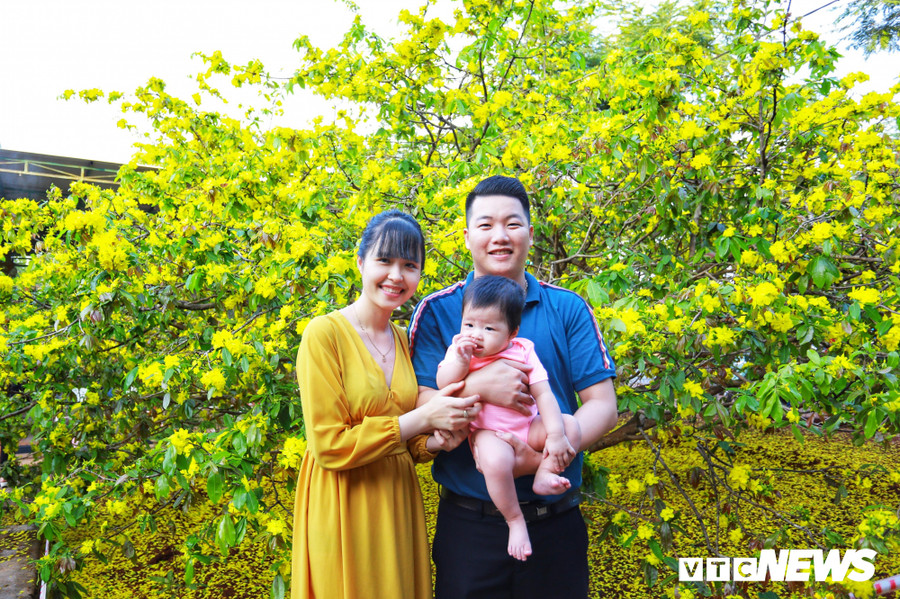 Một gia đình nhỏ chụp hình kỷ niêm bên cây mai. Một gia đình nhỏ chụp hình kỷ niêm bên cây mai.