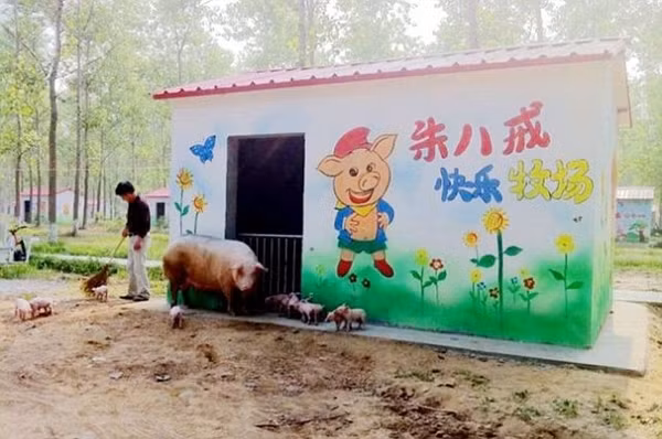 Những trang trại lợn quái đản nhất thế giới 11