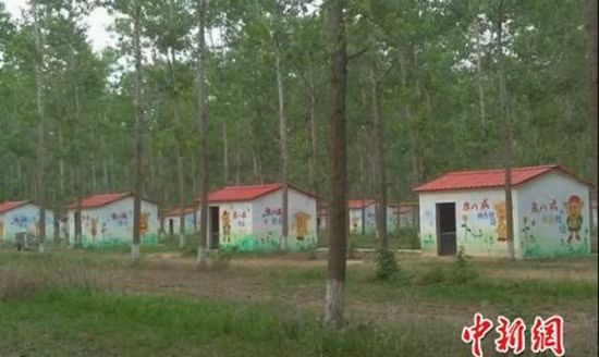 Những trang trại lợn quái đản nhất thế giới 12