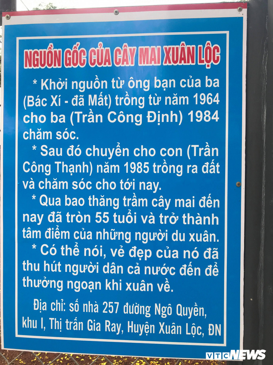Nguồn gốc của "cụ mai". Nguồn gốc của "cụ mai".