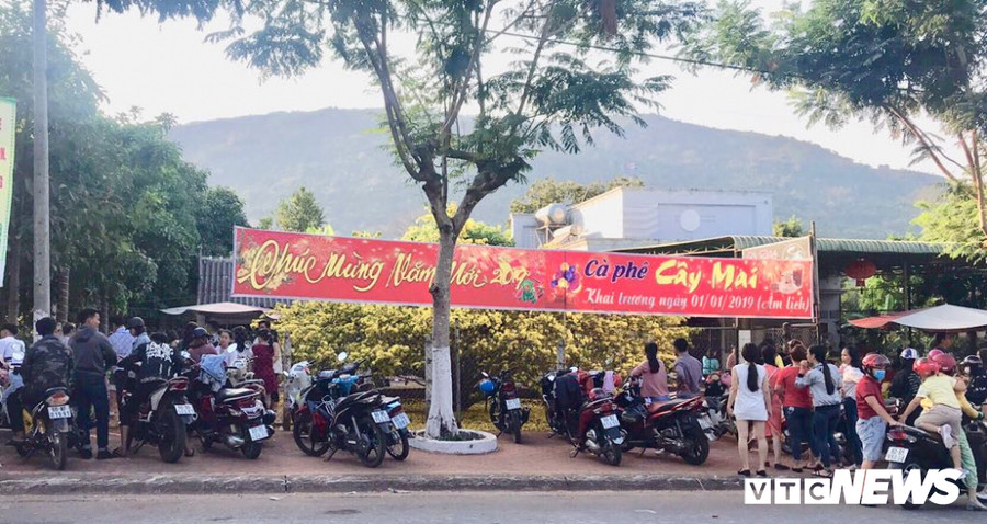 "Cụ mai" 55 tuổi, giá hơn 2 tỷ đồng thu hút hàng nghìn người đến chụp ảnh ngày đầu năm ảnh 1 "Cụ mai" 55 tuổi, giá hơn 2 tỷ đồng thu hút hàng nghìn người đến chụp ảnh ngày đầu năm ảnh 1