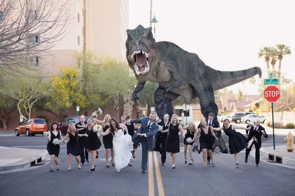 Thí nghiệm giúp gà mọc ra đôi chân của khủng long ảnh 4