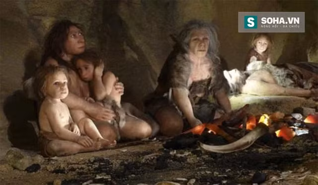  Cách đây 50.000 năm, người người Neanderthal đã biết cách sử dụng lửa để làm chín thức ăn 