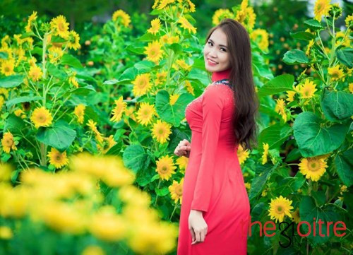 Lê Trần Hiền Vi, sinh năm 1996 tại Quảng Nam. Hiện nay, Vi đang theo học ngành Quản trị kinh doanh của Học viện Hàng không Việt Nam.