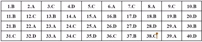 Gợi ý đáp án môn Vật Lý kỳ thi tốt nghiệp THPT 2022 ảnh 4