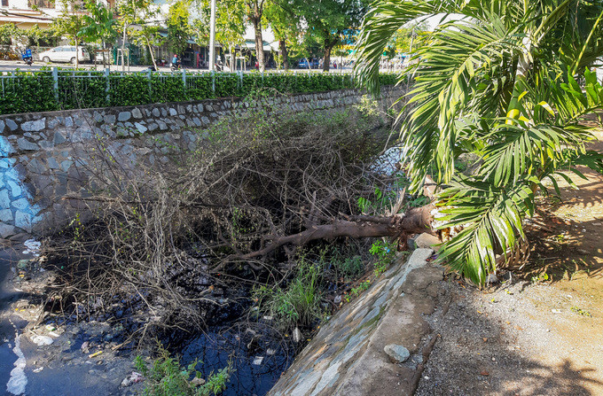 10 km kênh ô nhiễm ở Sài Gòn trước khi được cải tạo ảnh 10 10 km kênh ô nhiễm ở Sài Gòn trước khi được cải tạo ảnh 10