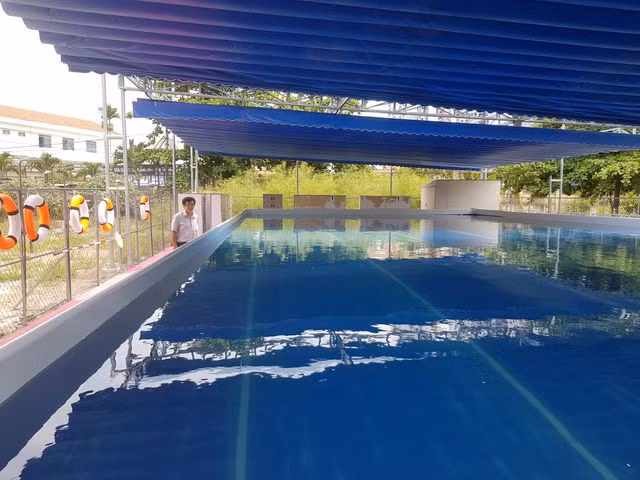 Trường THCS Trần Hưng Đạo (phường Vĩnh Trường, TP Nha Trang) là trường đầu tiên ở TP Nha Trang có hồ bơi trong nhà trường.