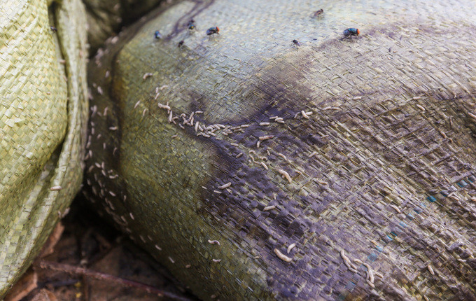 10 km kênh ô nhiễm ở Sài Gòn trước khi được cải tạo ảnh 5 10 km kênh ô nhiễm ở Sài Gòn trước khi được cải tạo ảnh 5