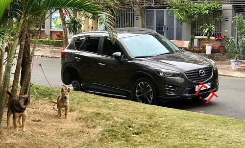 Hai nhân viên bảo vệ chuyên cần.