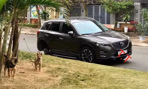 Hai nhân viên bảo vệ chuyên cần.