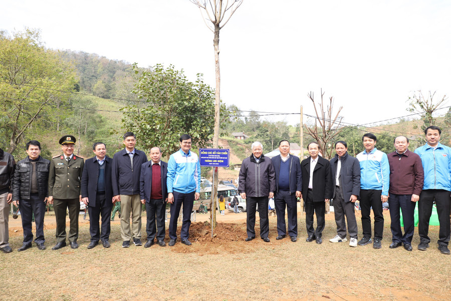 Nhiều cây xanh được trồng sau Lễ phát động.