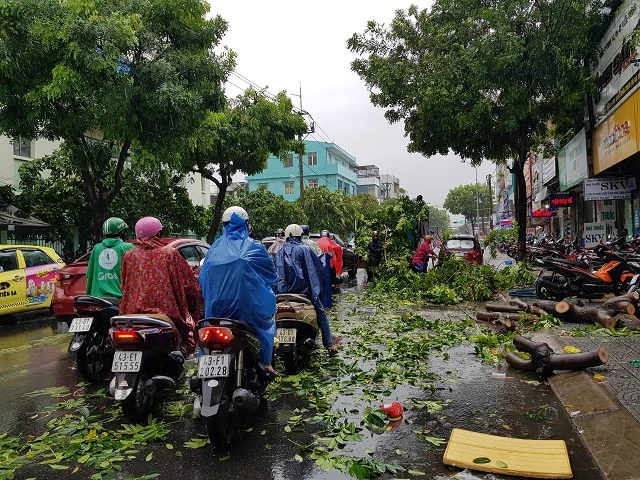 Nhiều cây xanh ngã đổ, gây cản trở giao thông trên nhiều tuyến đường.