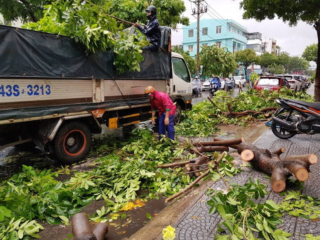 Lực lượng chức năng phối hợp ra quân dọn dẹp cây ngã đổ.
