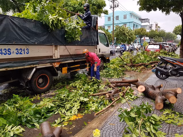 Lực lượng chức năng phối hợp ra quân dọn dẹp cây ngã đổ.