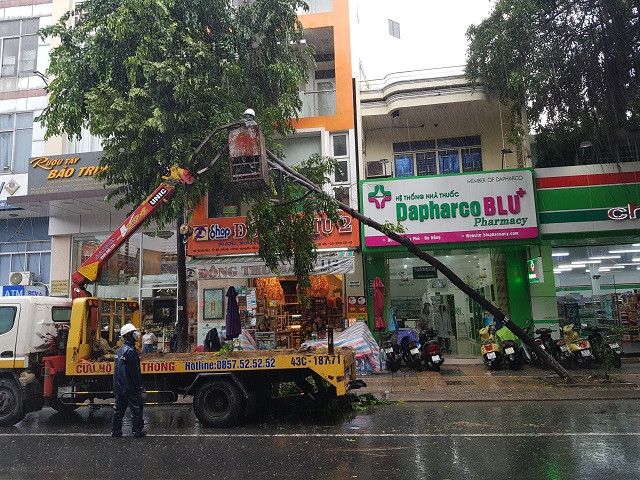Việc hàng loạt cây xanh ngã đổ do ảnh hưởng mưa bão cũng khiến nhiều người dân tham gia giao thông lo ngại.