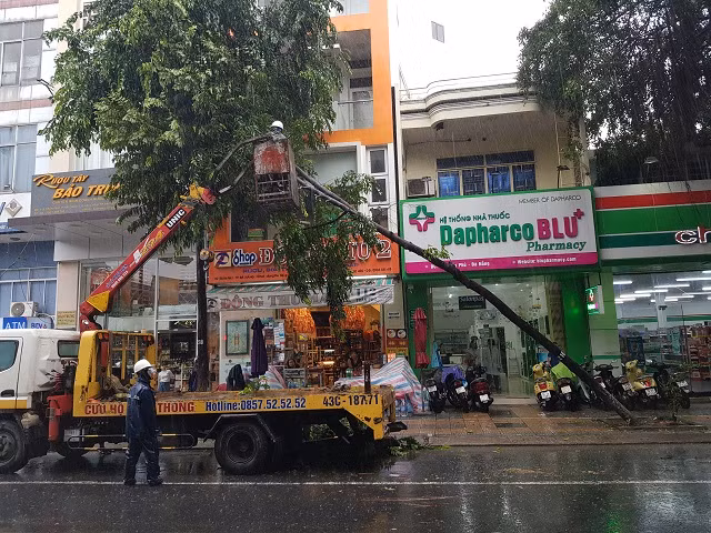 Việc hàng loạt cây xanh ngã đổ do ảnh hưởng mưa bão cũng khiến nhiều người dân tham gia giao thông lo ngại.