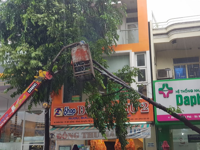 Lực lượng chức năng đội mưa xử lí cây ngã đổ, đặc biệt tại các tuyến đường trung tâm TP.