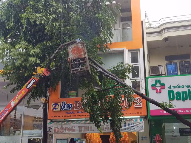 Lực lượng chức năng đội mưa xử lí cây ngã đổ, đặc biệt tại các tuyến đường trung tâm TP.