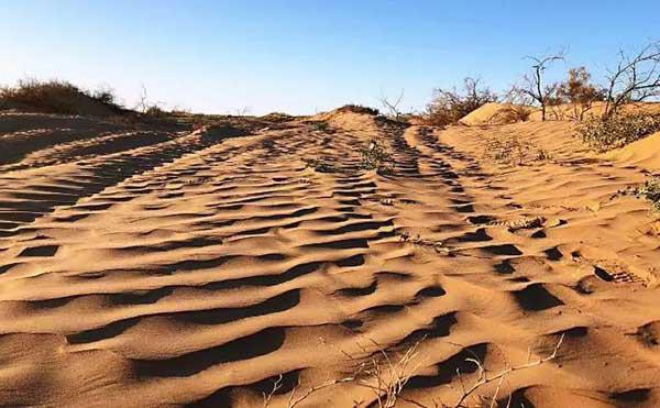 ngoi lang &#34;ma thuat&#34; tren sa mac: xuat hien vao ban ngay, bien mat vao ban dem - 3