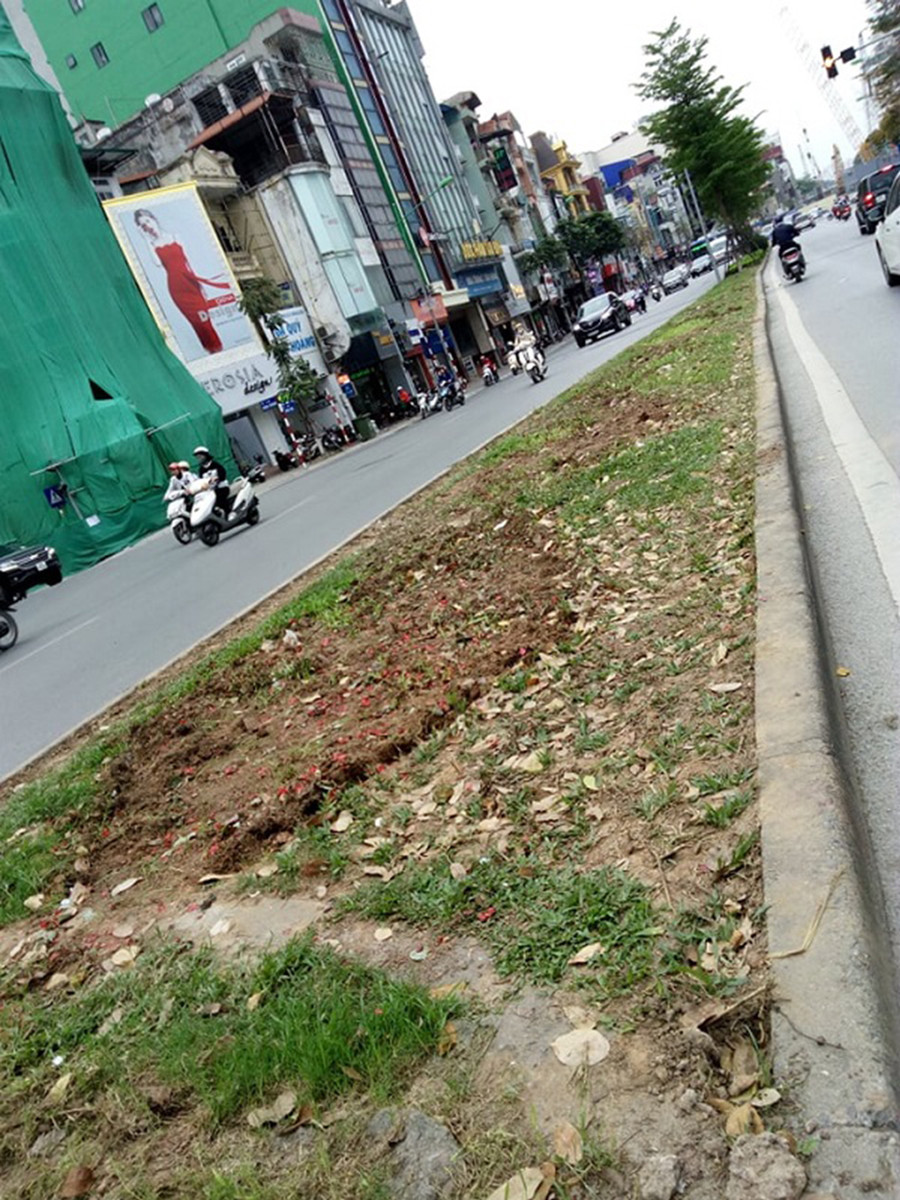 Chỉ trong thời gian ngắn, toàn bộ chậu hoa trang trí trên tuyến đường Kim Mã đã bị lấy đi Chỉ trong thời gian ngắn, toàn bộ chậu hoa trang trí trên tuyến đường Kim Mã đã bị lấy đi