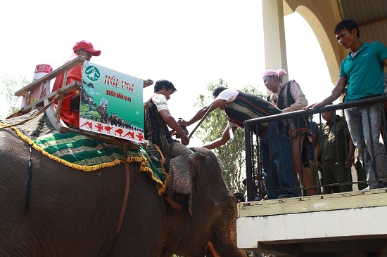 Sau khi làm xong lễ khấn, từng chú voi được các nài voi điều khiển tiến lại gần chủ lễ để chủ lễ đặt đầu heo, gạo, bôi tiết, tưới rượu lên đầu voi để cầu chúc cho voi luôn khỏe mạnh để giúp đỡ gia đình trong mọi công việc.